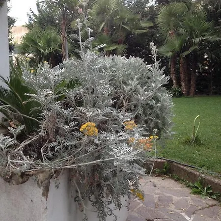 Guest house Punto Alloggio 3*