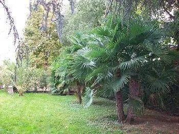 Punto Alloggio Casa de hóspedes